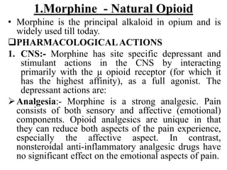 1.Morphine - Natural Opioid
• Morphine is the principal alkaloid in opium and is
widely used till today.
PHARMACOLOGICALACTIONS
1. CNS:- Morphine has site specific depressant and
stimulant actions in the CNS by interacting
primarily with the μ opioid receptor (for which it
has the highest affinity), as a full agonist. The
depressant actions are:
Analgesia:- Morphine is a strong analgesic. Pain
consists of both sensory and affective (emotional)
components. Opioid analgesics are unique in that
they can reduce both aspects of the pain experience,
especially the affective aspect. In contrast,
nonsteroidal anti-inflammatory analgesic drugs have
no significant effect on the emotional aspects of pain.
 
