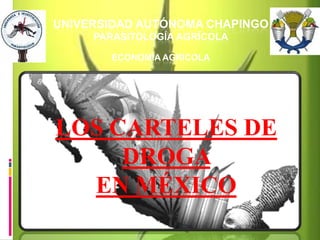 UNIVERSIDAD AUTÓNOMA CHAPINGO
     PARASITOLOGÍA AGRÍCOLA

       ECONOMÍA AGRÍCOLA




LOS CARTELES DE
     DROGA
  EN MÉXICO
 