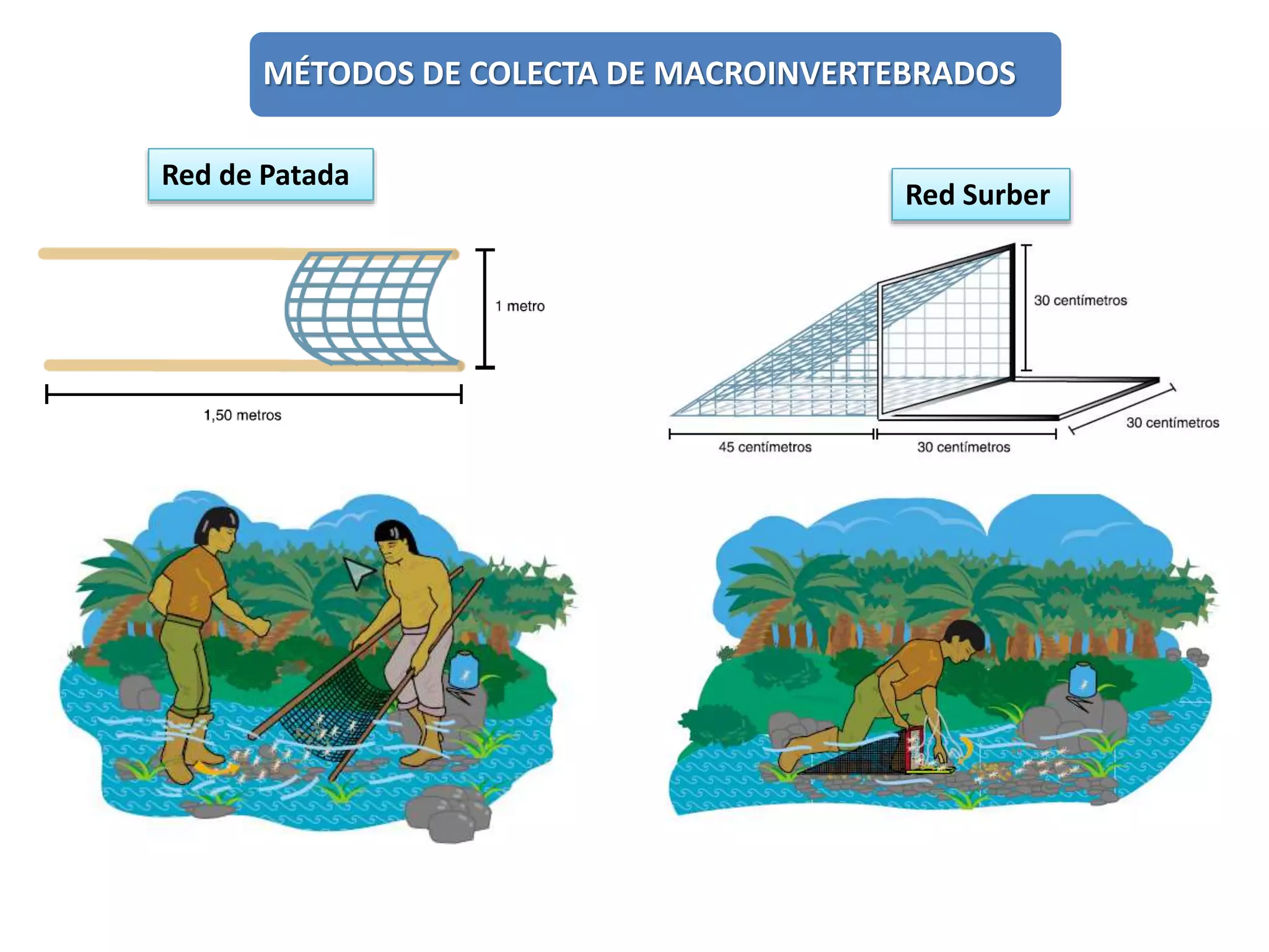MÉTODOS DE COLECTA DE MACROINVERTEBRADOS
Red de Patada
Red Surber
 