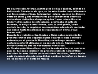 De acuerdo con Astorga, a principios del siglo pasado, cuando se
hablaba de fumadores de opio, se les relacionaba invariablemente
con las minorías chinas. En Mazatlán –relata– un caso de divorcio
entre un chino y una mexicana da pie a comentarios sobre las
costumbres atribuidas al esposo, quien “come ratoncillos con
limón y otros guisos de este género, practicaba el culto de
Mahoma, se niega a tomar baños, todo lo cual quería, como
método de vida, lo emplease su compañera, además de pretender
que usase hasta las prendas de ropa usada en China, y que
fumara opio”.
Durante los tratados entre México y China sobre migración los
primeros chinos que llegaron al país llevaron el opio a México
entrando por el puerto de Mazatlán, sin embargo era una
sustancia natural utilizada en su país de origen. Rápidamente se
dieron cuenta de que las condiciones climáticas
de Sinaloa permitían el buen cultivo de esta planta y se desvió su
uso; así fue como iniciaron las primeras rutas de narcotráfico
hacia los Estados Unidos por el territorio mexicano, donde espías
nazis alemanes descubrieron dichos caminos de tráfico de drogas
de los chinos en el norte de México
 