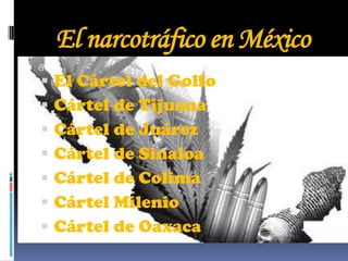 El narcotráfico en México
   El Cártel del Golfo
   Cártel de Tijuana
   Cártel de Juárez
   Cártel de Sinaloa
   Cártel de Colima
   Cártel Milenio
   Cártel de Oaxaca
 