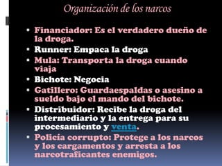 Organización de los narcos
 Financiador: Es el verdadero dueño de
    la droga.
   Runner: Empaca la droga
   Mula: Transporta la droga cuando
    viaja
   Bichote: Negocia
   Gatillero: Guardaespaldas o asesino a
    sueldo bajo el mando del bichote.
   Distribuidor: Recibe la droga del
    intermediario y la entrega para su
    procesamiento y venta.
   Policía corrupto: Protege a los narcos
    y los cargamentos y arresta a los
    narcotraficantes enemigos.
 