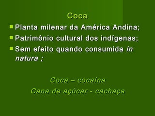 Coca Planta milenar da América Andina; Patrimônio cultural dos indígenas; Sem efeito quando consumida  in natura ; Coca – cocaína Cana de açúcar - cachaça 