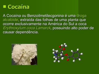 Cocaína   A Cocaína ou Benzoilmetilecgonina é uma  droga   alcalóide , extraída das folhas de uma planta que ocorre exclusivamente na América do Sul a coca  Erythroxylum coca Lamarck , possuindo alto poder de causar dependência.  