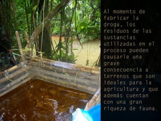 Narcotrafico en el Perú 