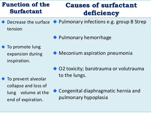 Surfactant Therapy DR TRYNAADH