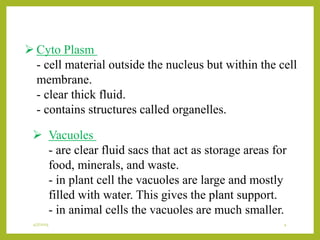  Cyto Plasm
- cell material outside the nucleus but within the cell
membrane.
- clear thick fluid.
- contains structures called organelles.
 Vacuoles
- are clear fluid sacs that act as storage areas for
food, minerals, and waste.
- in plant cell the vacuoles are large and mostly
filled with water. This gives the plant support.
- in animal cells the vacuoles are much smaller.
4/7/2015 4
 