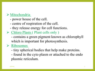  Mitochondria
- power house of the cell.
- centre of respiration of the cell.
- they release energy for cell functions.
 Chloro Plasts ( Plant cells only )
- contains a green pigment known as chlorophyll
which is important for photosynthesis.
 Ribosomes
- tiny spherical bodies that help make proteins.
- found in the cyto plasm or attached to the endo
plasmic reticulum.
4/7/2015 5
 