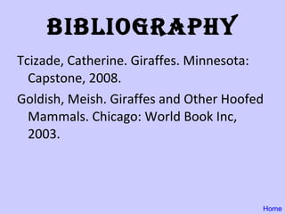 Bibliography Tcizade, Catherine. Giraffes. Minnesota: Capstone, 2008. Goldish, Meish. Giraffes and Other Hoofed Mammals. Chicago: World Book Inc, 2003. Home 