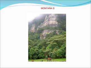 MONTAÑA S  