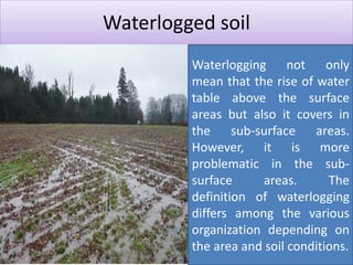 EXTENT OF LAND DEGRADATION, CHALLENGES AND OPPORTUNITIES IN UTTAR ...