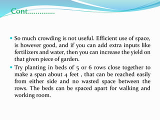  So much crowding is not useful. Efficient use of space,
is however good, and if you can add extra inputs like
fertilizer...