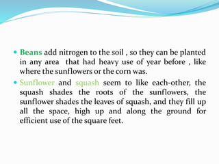  Beans add nitrogen to the soil , so they can be planted
in any area that had heavy use of year before , like
where the s...