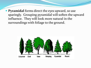  Pyramidal forms direct the eyes upward, so use
sparingly. Grouping pyramidal will soften the upward
influence. They will...