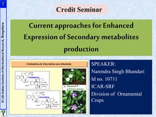 Current approaches forEnhanced
Expression of Secondary metabolites
production
SPEAKER:
Narendra Singh Bhandari
Id no. 10711
ICAR-SRF
Division of Ornamental
Crops
Credit Seminar
ICAR-IndianInstituteofHorticulturalResearch,Bengaluru
 