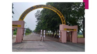 Acharya Narendra Deva University of Agriculture and Technology