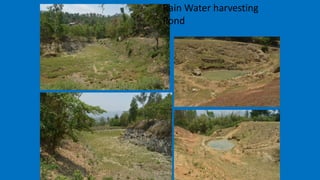 Rain Water harvesting
Pond
 