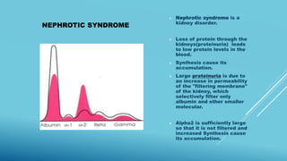 NEPHROTIC SYNDROME
 Nephrotic syndrome is a
kidney disorder.
 Loss of protein through the
kidneys(proteinuria) leads
to low protein levels in the
blood.
 Synthesis cause its
accumulation.
 Large proteinuria is due to
an increase in permeability
of the "filtering membrane"
of the kidney, which
selectively filter only
albumin and other smaller
molecular.
 Alpha2 is sufficiently large
so that it is not filtered and
increased Synthesis cause
its accumulation.
 