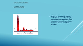 ALPHA1 & ALPHA2 DISORDER
ACUTE INFLAMATION
 There is ncreased alpha 1
and alpha2 band durning the
inflammatory response from
increased hepatic synthesis
of acute phase reactant
protein.
 