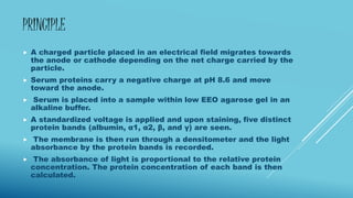 PRINCIPLE
 A charged particle placed in an electrical field migrates towards
the anode or cathode depending on the net charge carried by the
particle.
 Serum proteins carry a negative charge at pH 8.6 and move
toward the anode.
 Serum is placed into a sample within low EEO agarose gel in an
alkaline buffer.
 A standardized voltage is applied and upon staining, five distinct
protein bands (albumin, α1, α2, β, and γ) are seen.
 The membrane is then run through a densitometer and the light
absorbance by the protein bands is recorded.
 The absorbance of light is proportional to the relative protein
concentration. The protein concentration of each band is then
calculated.
 