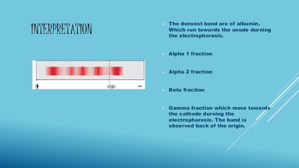 SERUM ELECTROPHORESIS