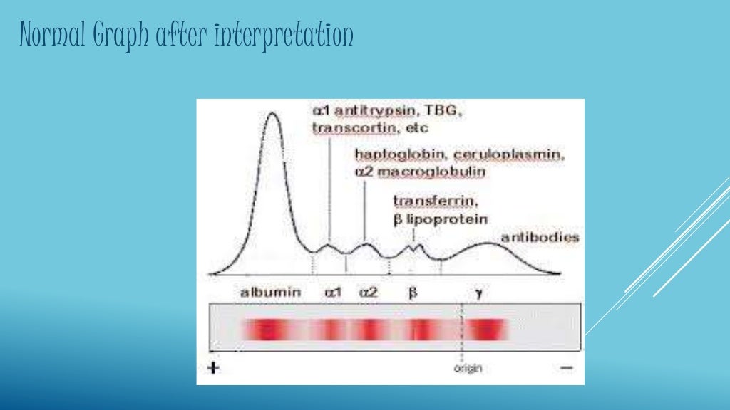 SERUM ELECTROPHORESIS
