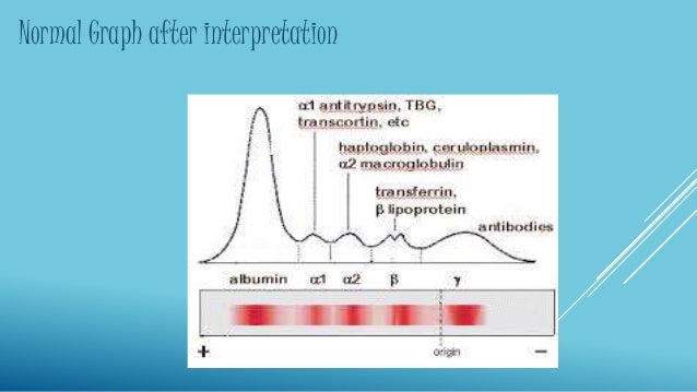 serum electrophoresis
