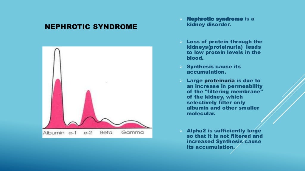 SERUM ELECTROPHORESIS