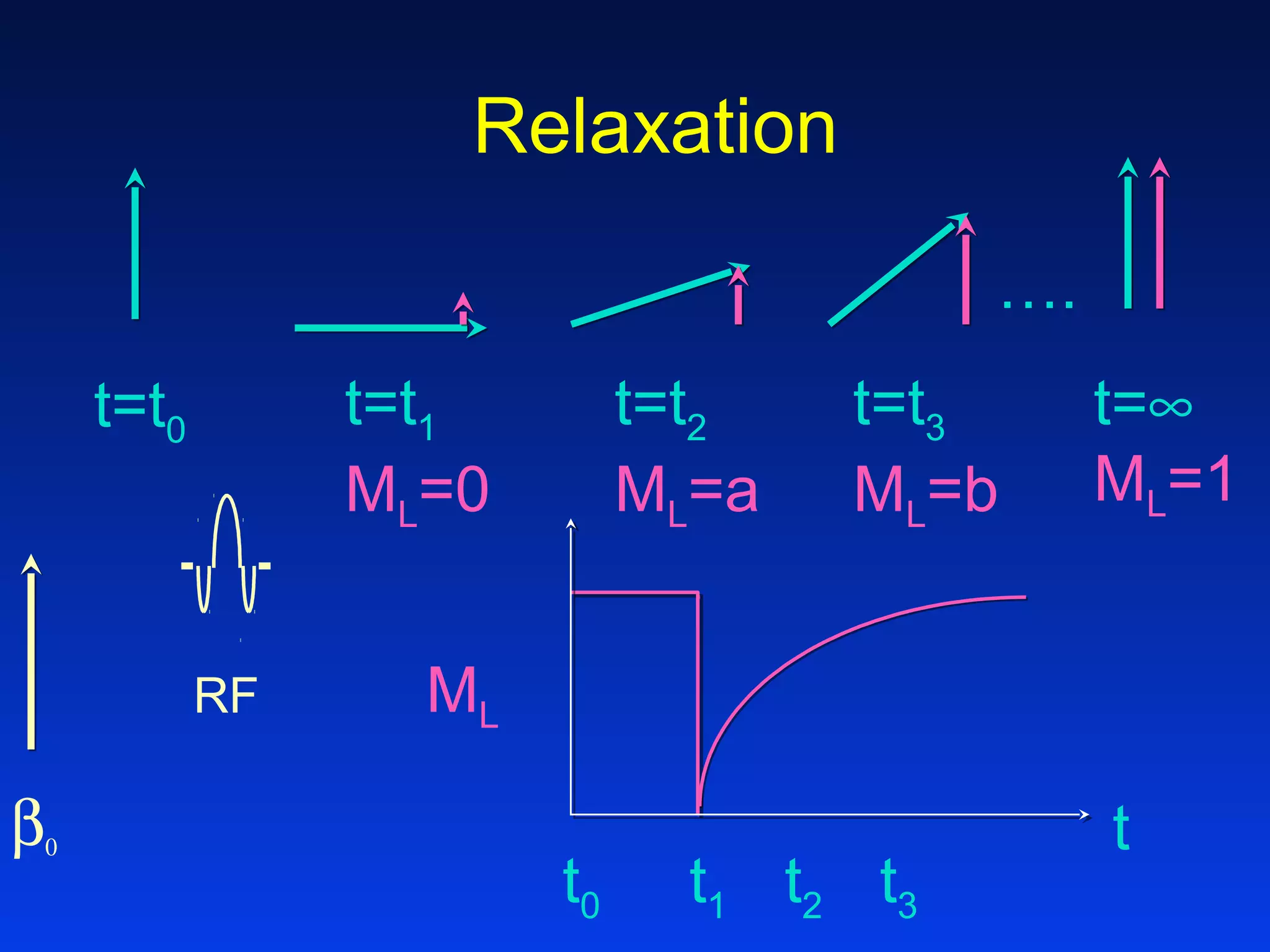 Relaxation
β0
t=t0
RF
t=t1
ML=0
t=t2
ML=a
t=t3
ML=b
t=∞
ML=1
….
t
ML
t0 t1 t2 t3
 