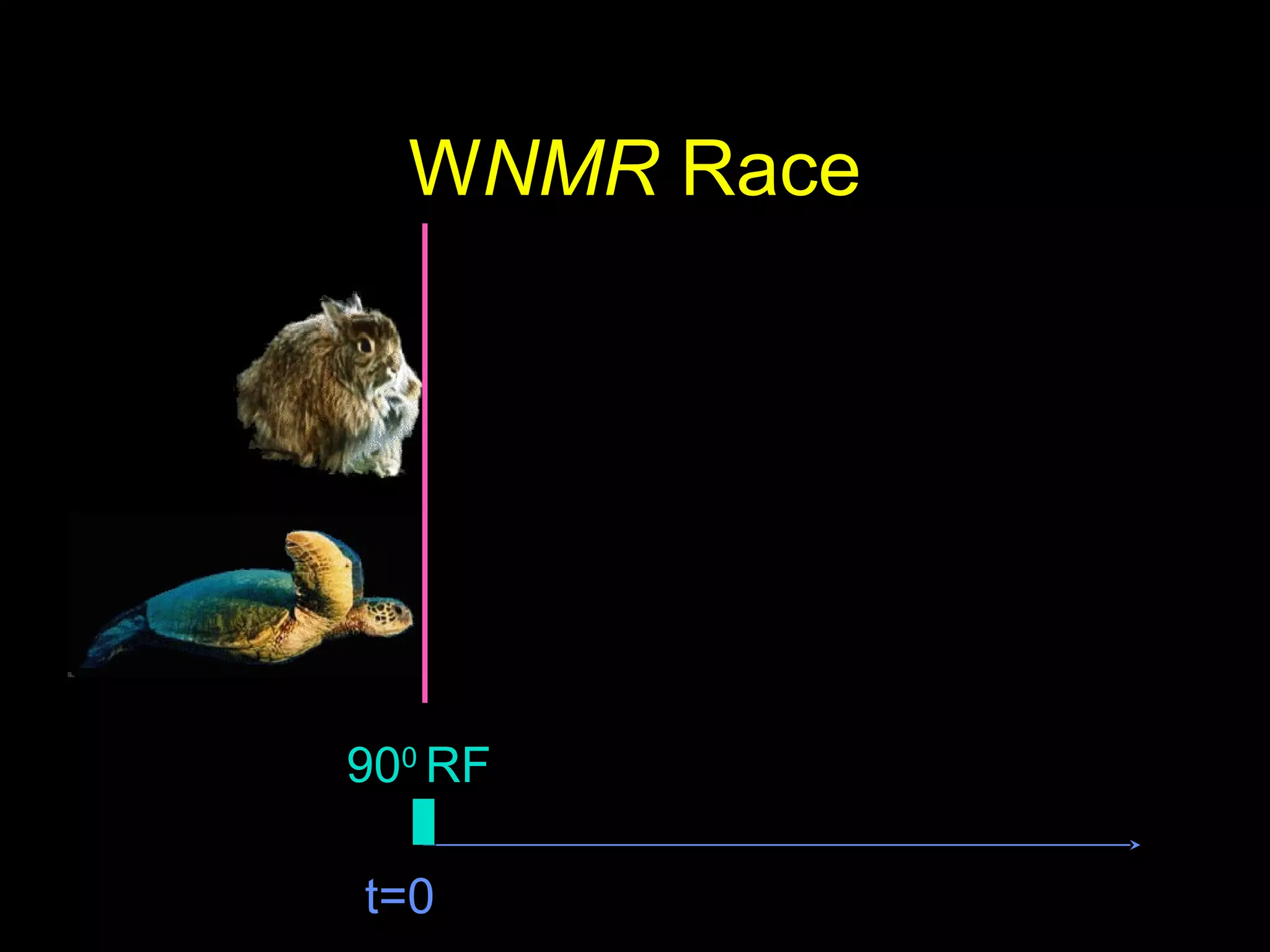 WNMR Race
t=0
900
RF
 