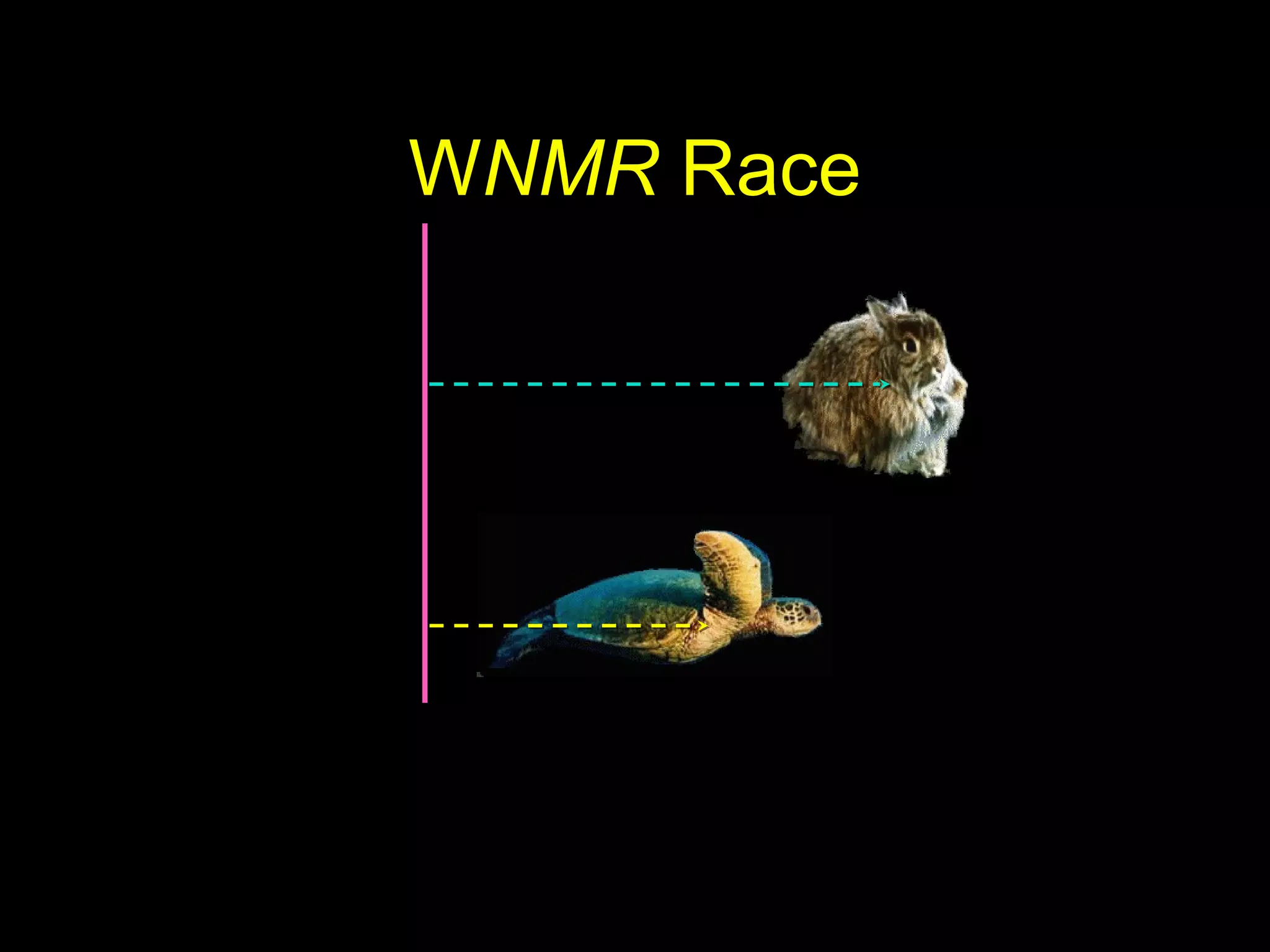 WNMR Race
 
