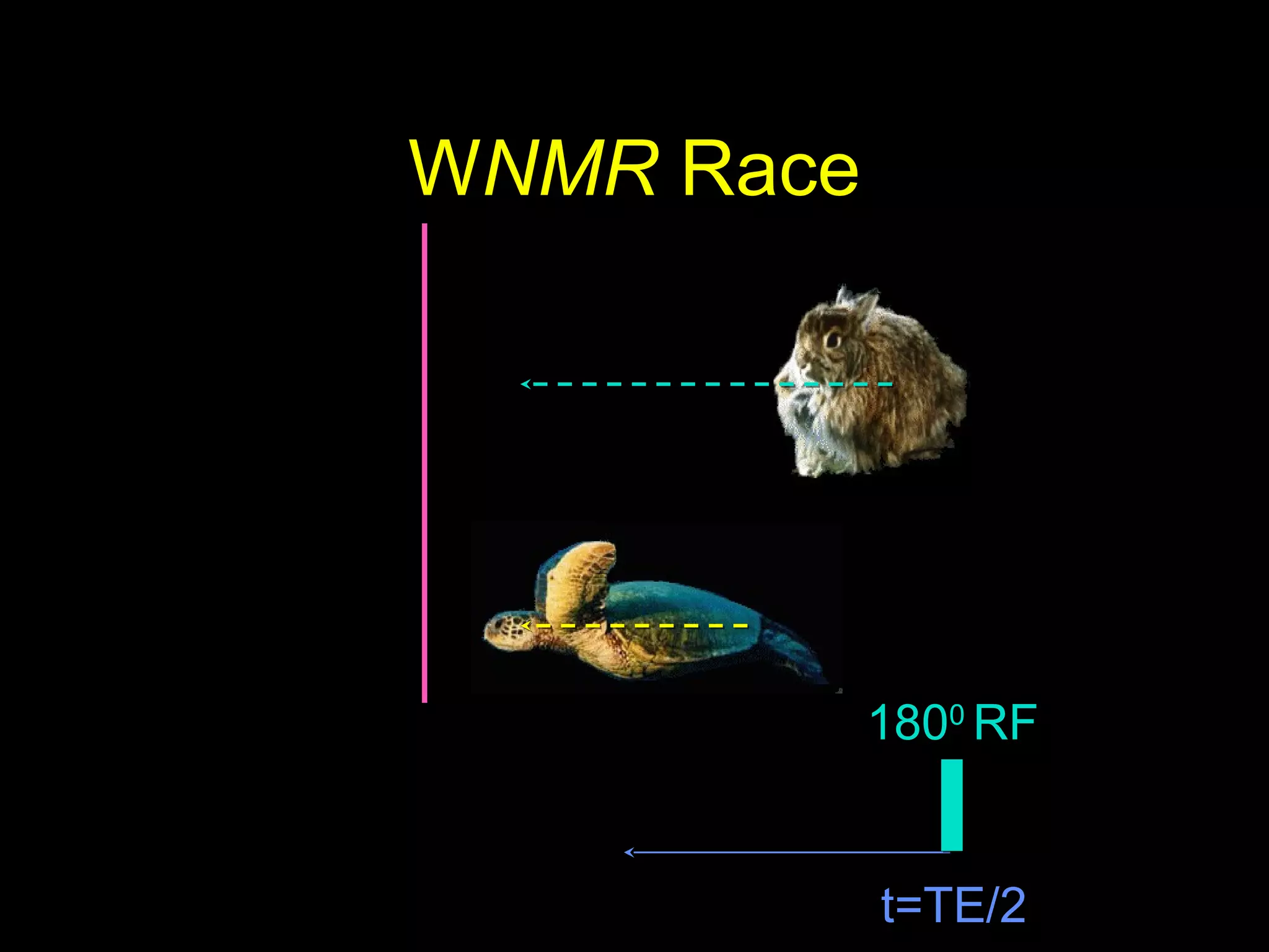 WNMR Race
t=TE/2
1800
RF
 