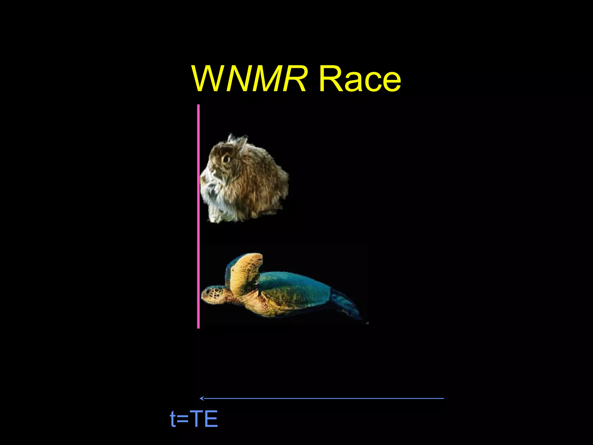 t=TE
WNMR Race
 