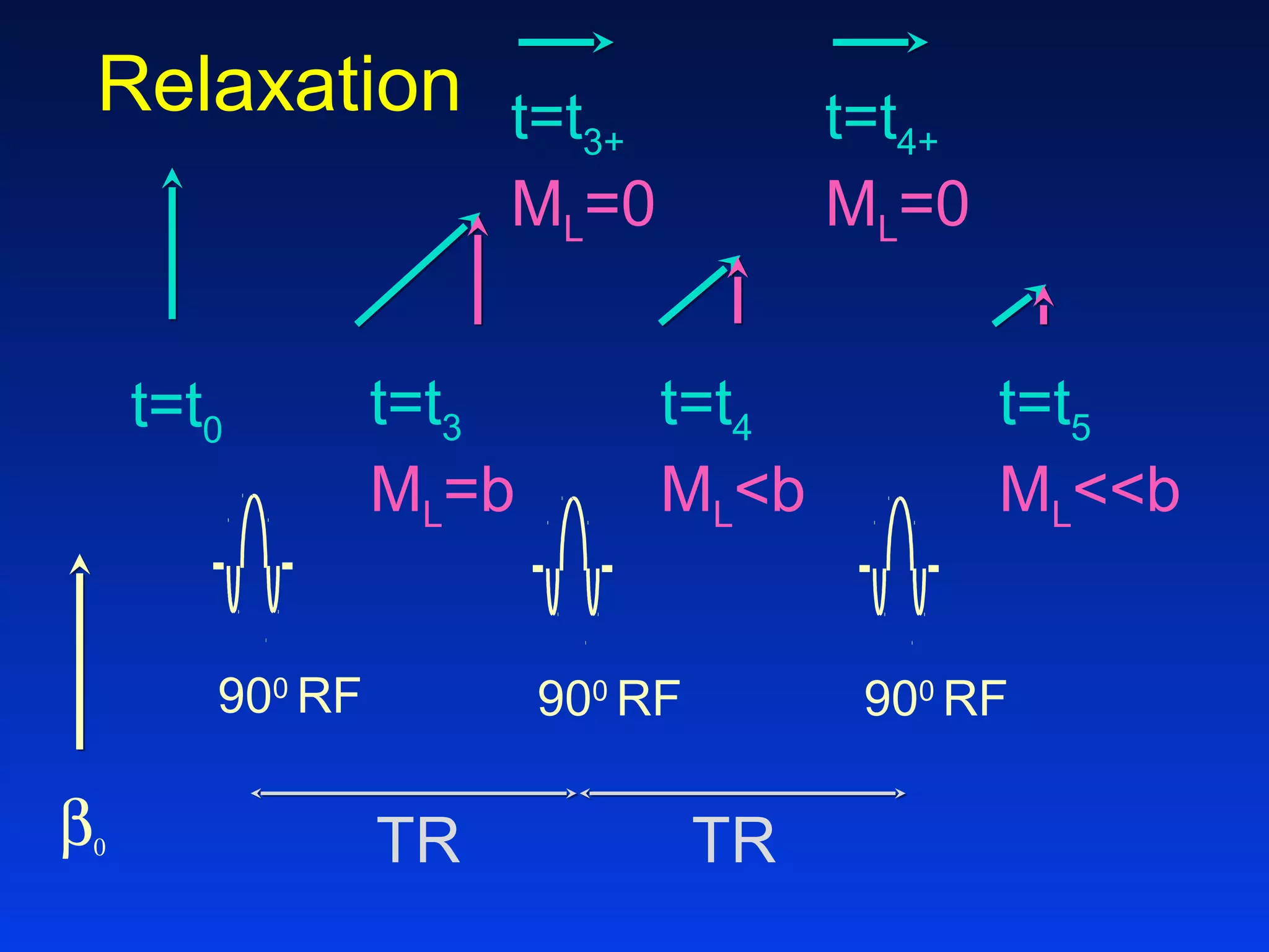 Relaxation
β0
t=t0
900
RF
t=t3
ML=b
t=t4
ML<b
900
RF
t=t3+
ML=0
900
RF
t=t4+
ML=0
t=t5
ML<<b
TR TR
 