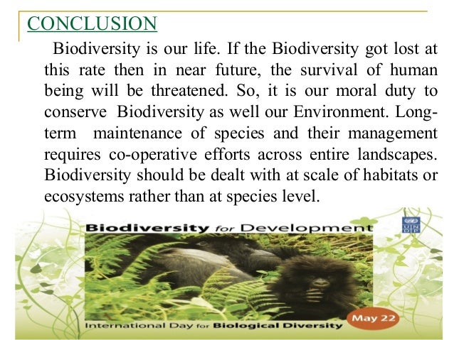 Essay about biodiversity