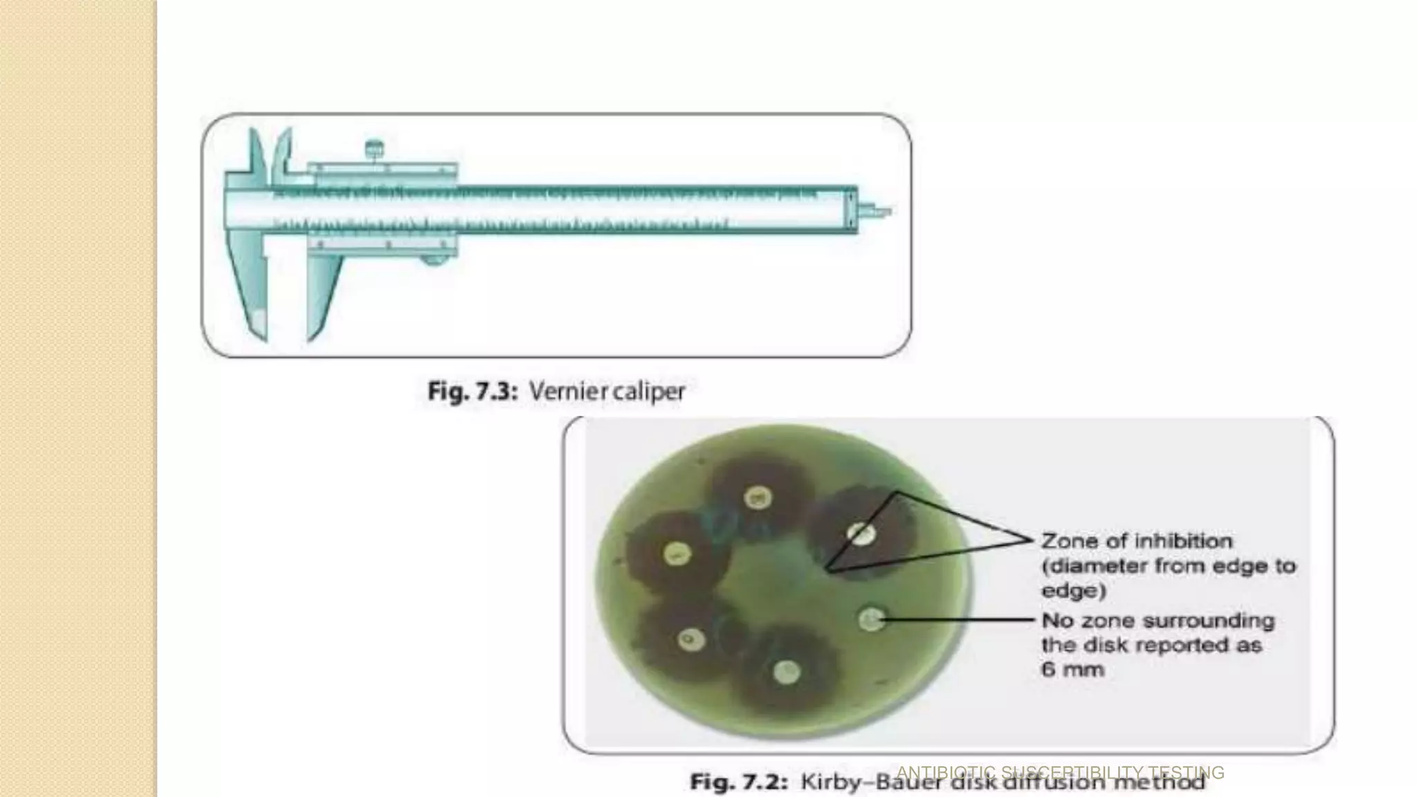 ANTIBIOTIC SUSCEPTIBILITY TESTING
 