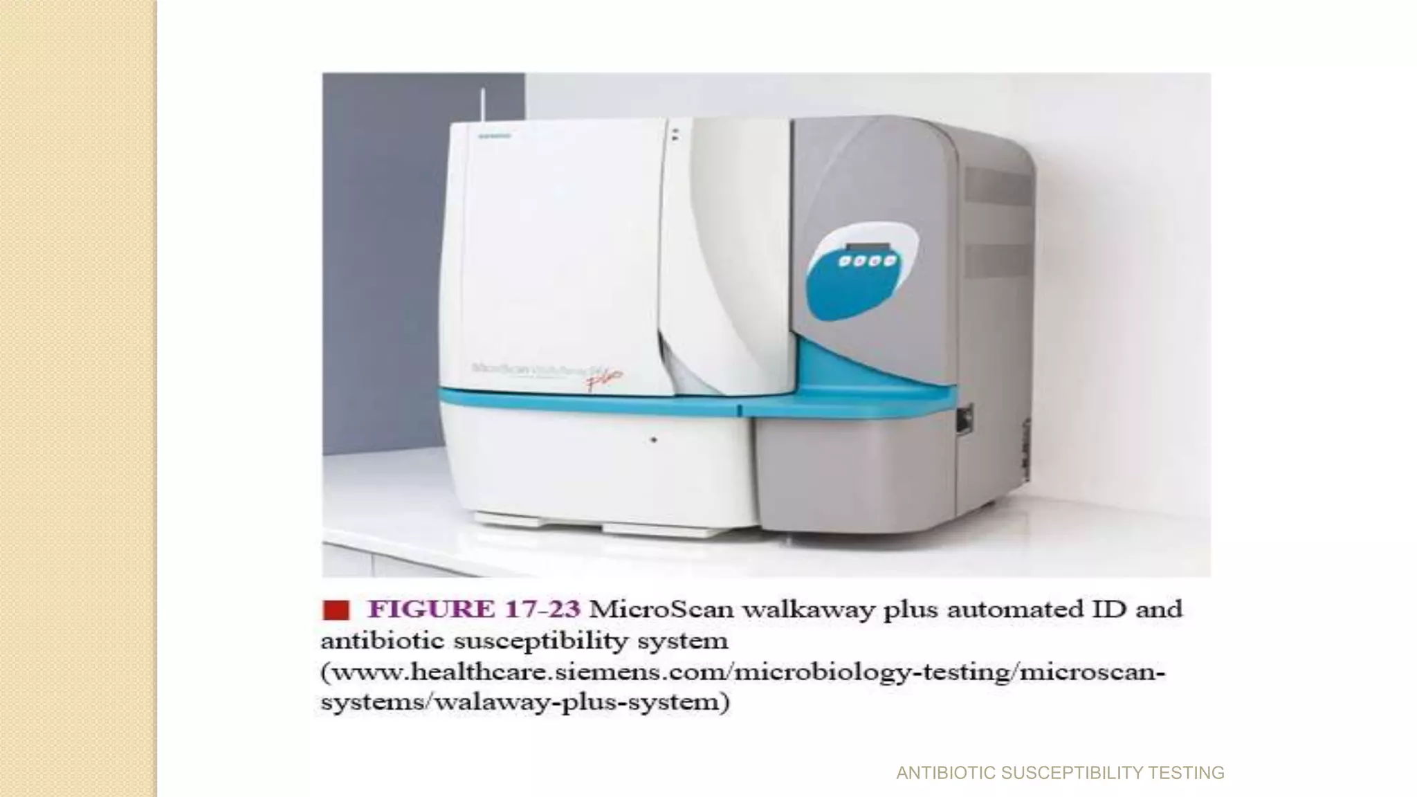 ANTIBIOTIC SUSCEPTIBILITY TESTING
 