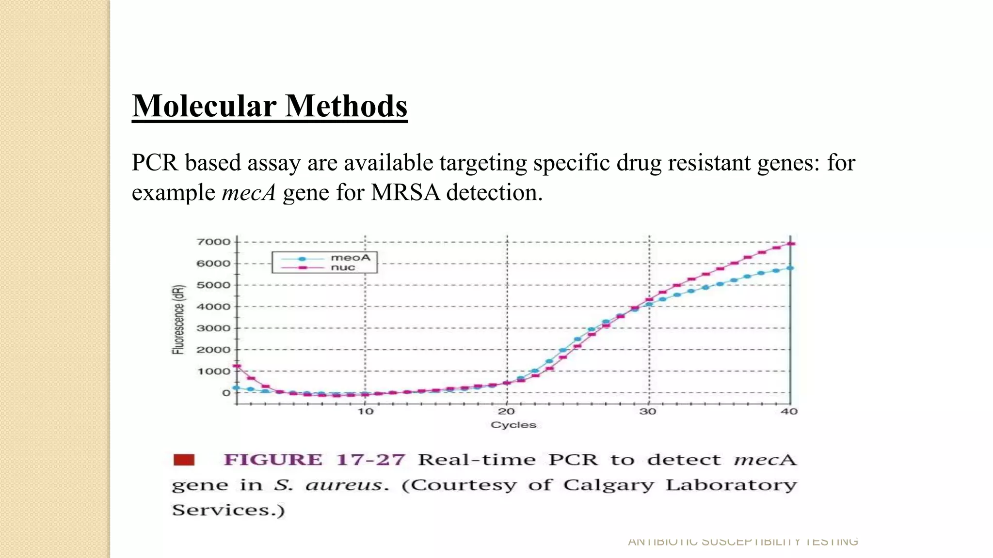 Molecular Methods
PCR based assay are available targeting specific drug resistant genes: for
example mecA gene for MRSA detection.
ANTIBIOTIC SUSCEPTIBILITY TESTING
 