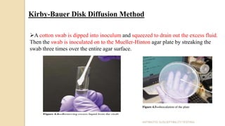 Kirby-Bauer Disk Diffusion Method
A cotton swab is dipped into inoculum and squeezed to drain out the excess fluid.
Then the swab is inoculated on to the Mueller-Hinton agar plate by streaking the
swab three times over the entire agar surface.
ANTIBIOTIC SUSCEPTIBILITY TESTING
 