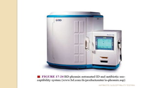 ANTIBIOTIC SUSCEPTIBILITY TESTING
 