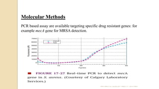 Molecular Methods
PCR based assay are available targeting specific drug resistant genes: for
example mecA gene for MRSA detection.
ANTIBIOTIC SUSCEPTIBILITY TESTING
 