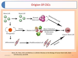 Role of cancer stem cells in cancer therapy | PPTX