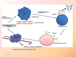 Role of cancer stem cells in cancer therapy | PPTX