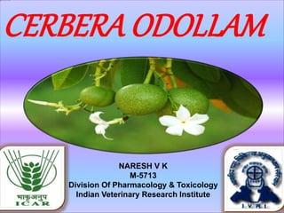 CERBERA ODOLLAM
NARESH V K
M-5713
Division Of Pharmacology & Toxicology
Indian Veterinary Research Institute
 