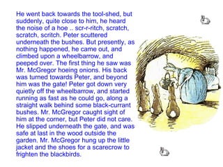 He went back towards the tool-shed, but suddenly, quite close to him, he heard the noise of a hoe .. scr-r-ritch, scratch, scratch, scritch. Peter scuttered underneath the bushes. But presently, as nothing happened, he came out, and climbed upon a wheelbarrow, and peeped over. The first thing he saw was Mr. McGregor hoeing onions. His back was turned towards Peter, and beyond him was the gate! Peter got down very quietly off the wheelbarrow, and started running as fast as he could go, along a straight walk behind some black-currant bushes. Mr. McGregor caught sight of him at the corner, but Peter did not care. He slipped underneath the gate, and was safe at last in the wood outside the garden. Mr. McGregor hung up the little jacket and the shoes for a scarecrow to frighten the blackbirds.  