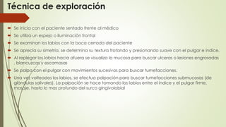 Técnica de exploración 
 Se inicia con el paciente sentado frente al médico 
 Se utiliza un espejo o iluminación frontal 
 Se examinan los labios con la boca cerrada del paciente 
 Se aprecia su simetría, se determina su textura frotando y presionando suave con el pulgar e índice. 
 Al replegar los labios hacia afuera se visualiza la mucosa para buscar ulceras o lesiones engrosadas 
, blancuzcas y escamosas 
 Se palpa con el pulgar con movimientos sucesivos para buscar tumefacciones. 
 Una vez volteados los labios, se efectua palpación para buscar tumefacciones submucosas (de 
glándulas salivales). La palpación se hace tomando los labios entre el índice y el pulgar firme, 
masaje, hasta lo mas profundo del surco gingivolabial 
 