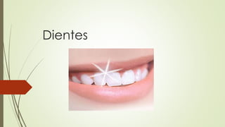 Dientes 
 