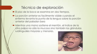 Técnica de exploración 
 El piso de la boca se examina en dos tiempos. 
 La porción anterior es facilmente visible cuando el 
enfermo levanta la punta de la lengua sobre la porción 
anterior del paladar óseo 
 Mientras una mano sostiene el mentón, el índice de la 
otra palpa no sólo la mucosa sino también las glándulas 
sublinguales mayores y menores. 
 
