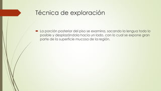 Técnica de exploración 
 La porción posterior del piso se examina, sacando la lengua todo lo 
posible y desplazándola hacia un lado, con lo cual se expone gran 
parte de la superficie mucosa de la región. 
 