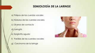 SEMIOLOGÍA DE LA LARINGE 
a) Pólipos de las cuerdas vocales 
b) Nódulos de las cuerdas vocales 
c) Úlceras de contacto 
d) Laringitis 
e) Epiglotitis aguda 
f) Parálisis de las cuerdas vocales 
g) Carcinoma de la laringe 
 